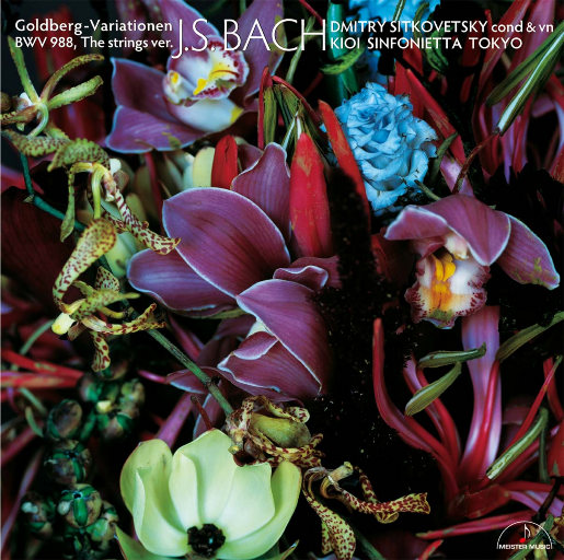 成人男女色色网站
